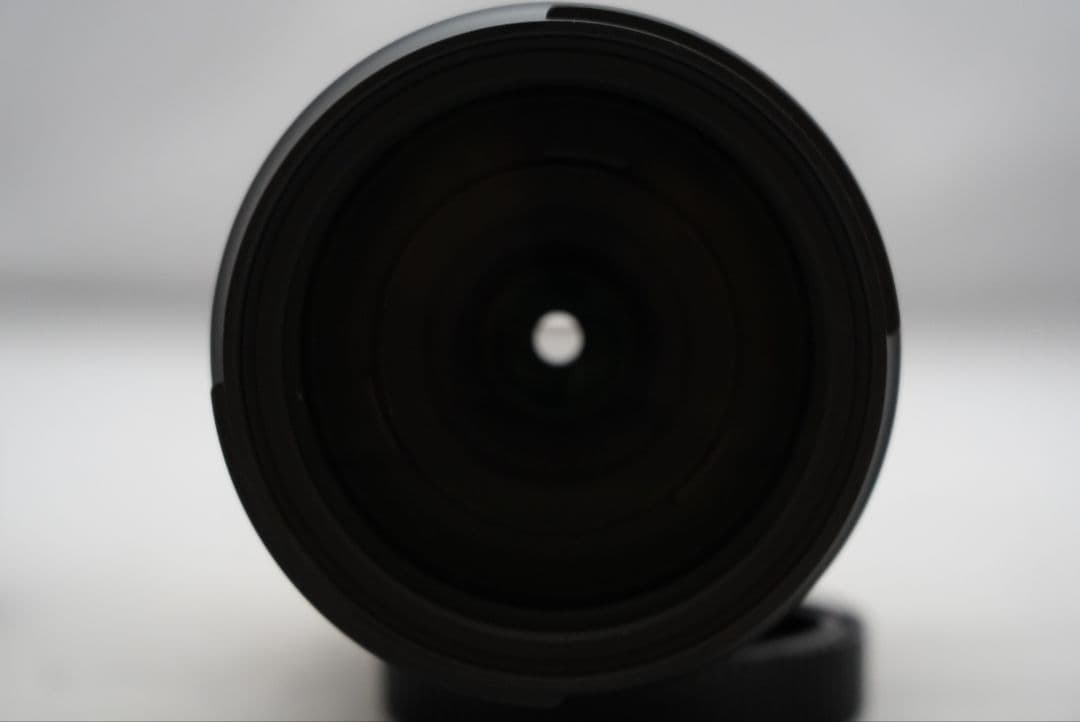 タムロン 18-400㎜ F=1:3.5-6.3 Di Ⅱ VC HLD 実用品