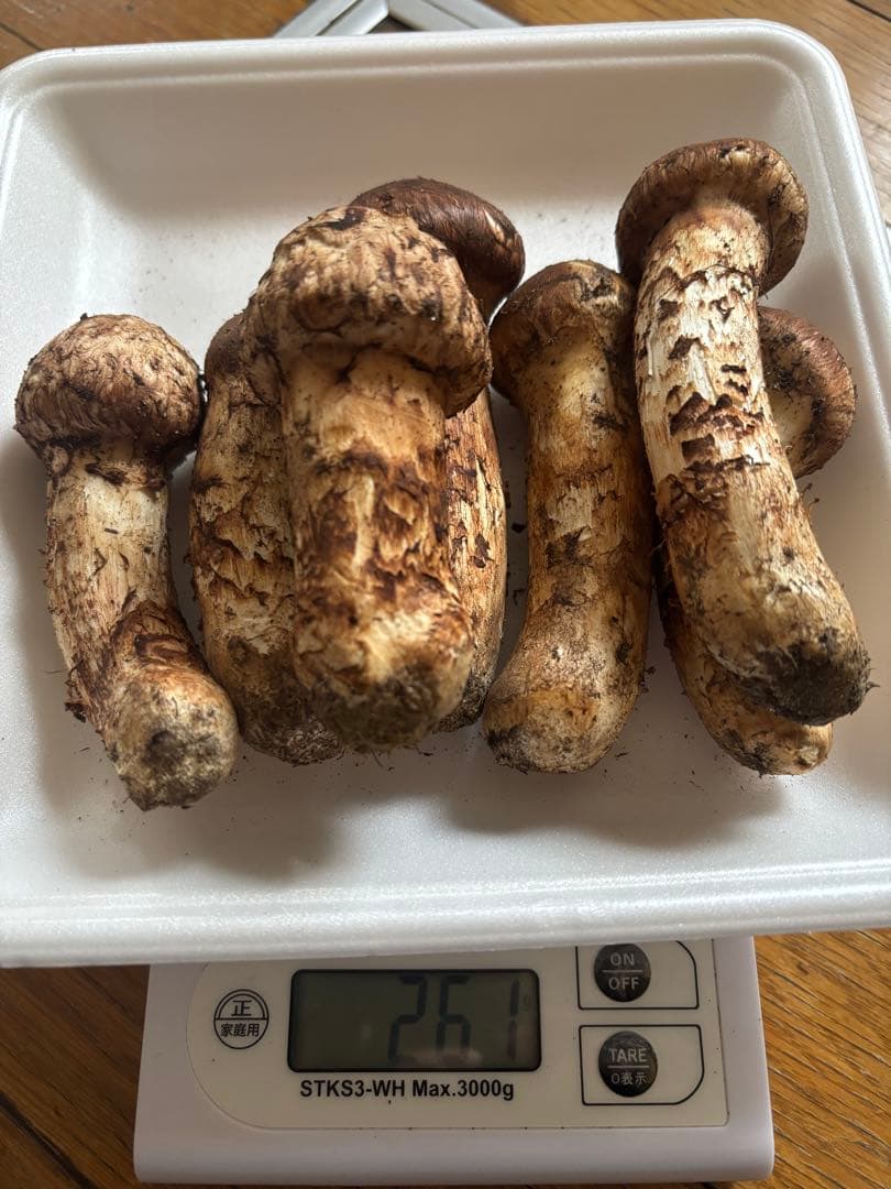 青森県産松茸　マツタケ　261g