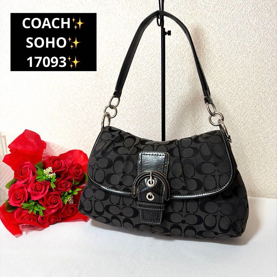 バッグ RARE COACH SOHO signature 17093 hand bag