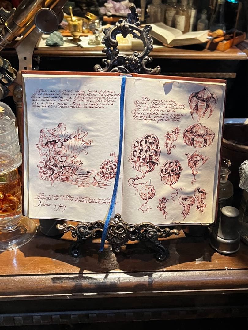 輸入品　ディズニーシー　センターオブジアース　ブックスタンド　同種