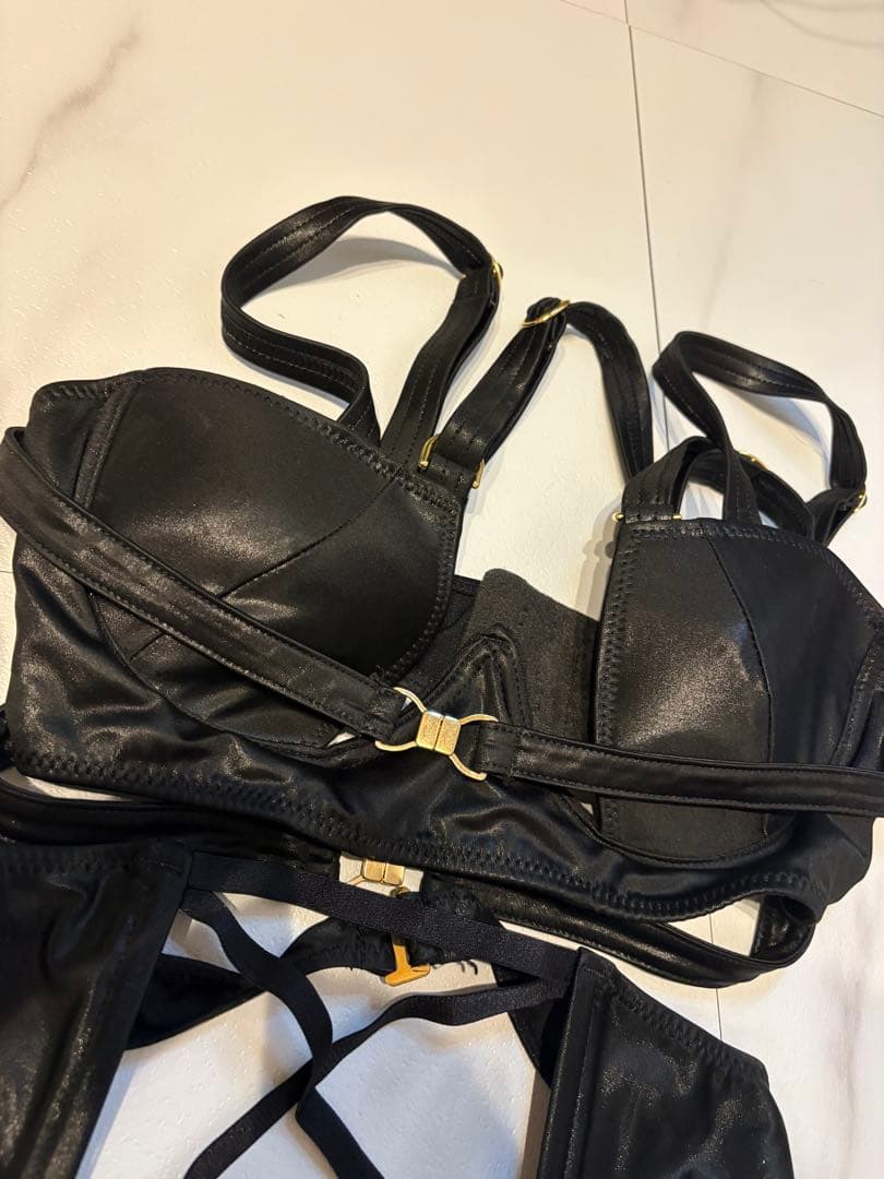 pharfaite SGS セミオープンバスト・ハーネスボンテージセットアップ