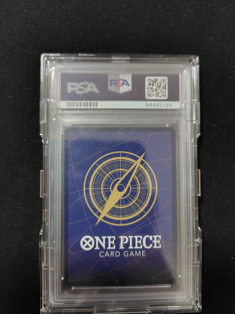 レイリーコミパラpsa10