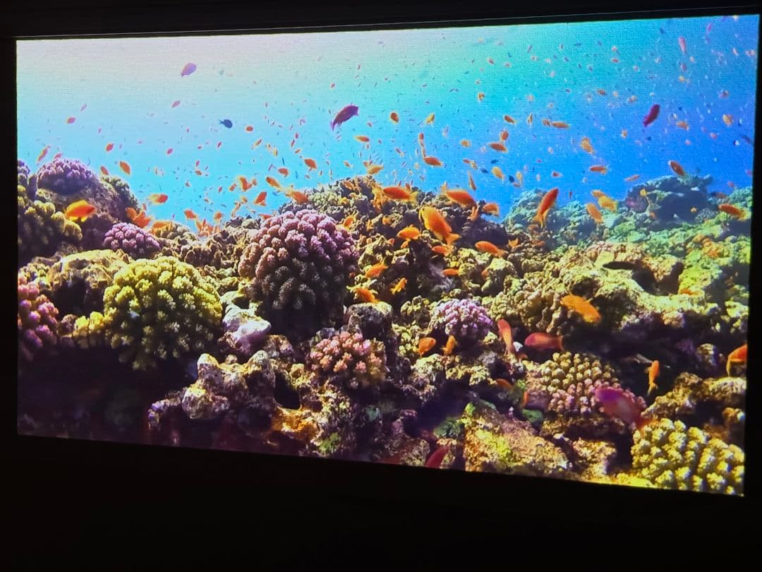 「XGIMI HALO+ モバイルプロジェクター」 スタンドも無料セット可能