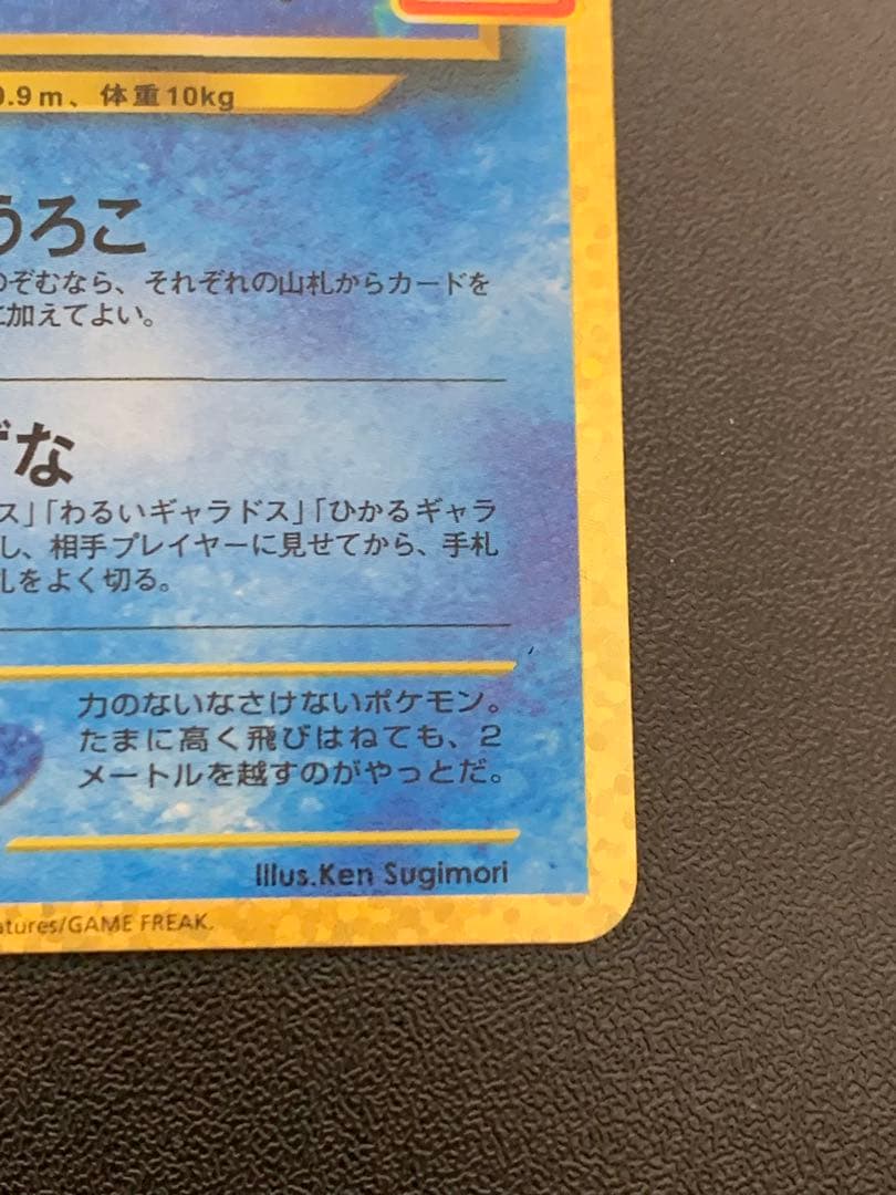 ひかるコイキング 25周年記念