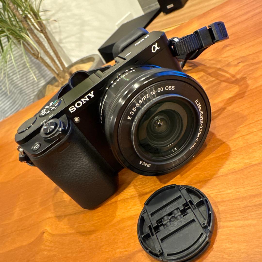 か*ん様 SONY α6000 ILCE-6000Y ダブルズームレンズキット