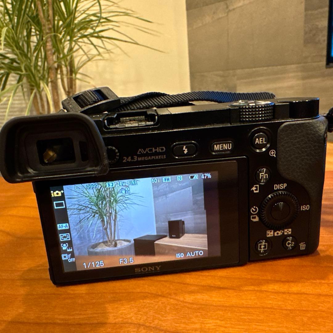 か*ん様 SONY α6000 ILCE-6000Y ダブルズームレンズキット