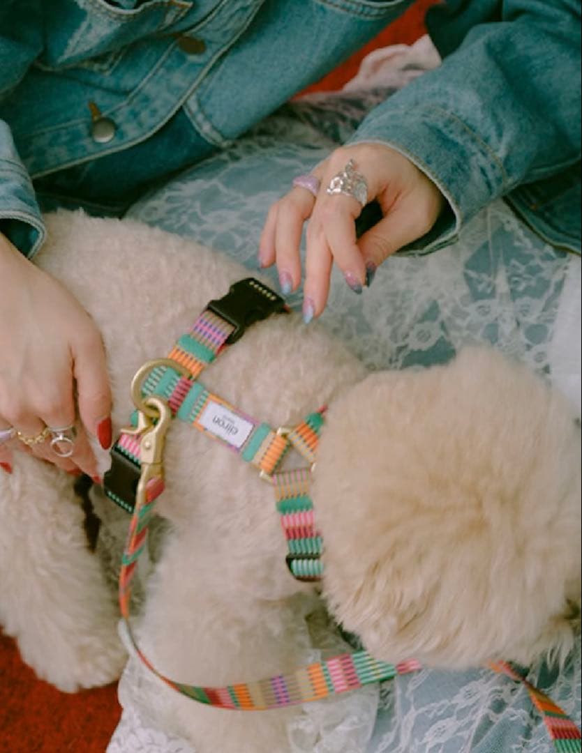 ciiron TOKYO AMY(エイミー) ハーネス