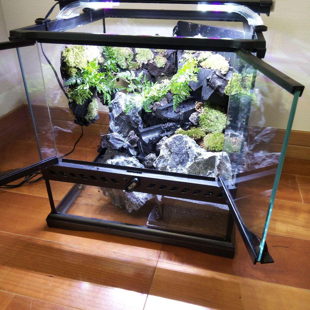 【受注生産】グラステラリウム3030　イモリウム　苔テラリウム