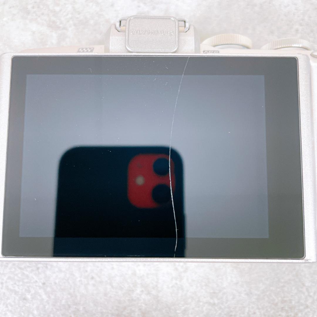 OLYMPUS ミラーレス一眼 E-PL7【ショット数1859】