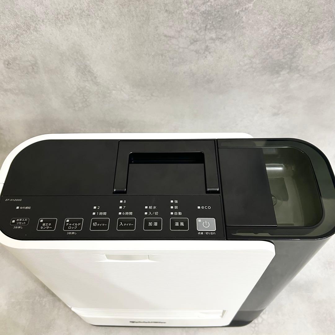 Dainichi Plus 加湿セラミックファンヒーター EF-H1200G