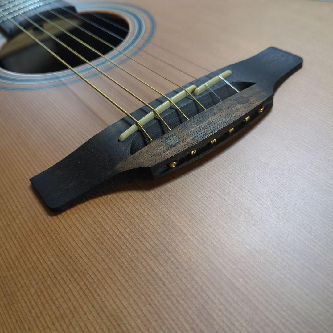 タカミネ海外輸出モデルGD-20CE-ns、