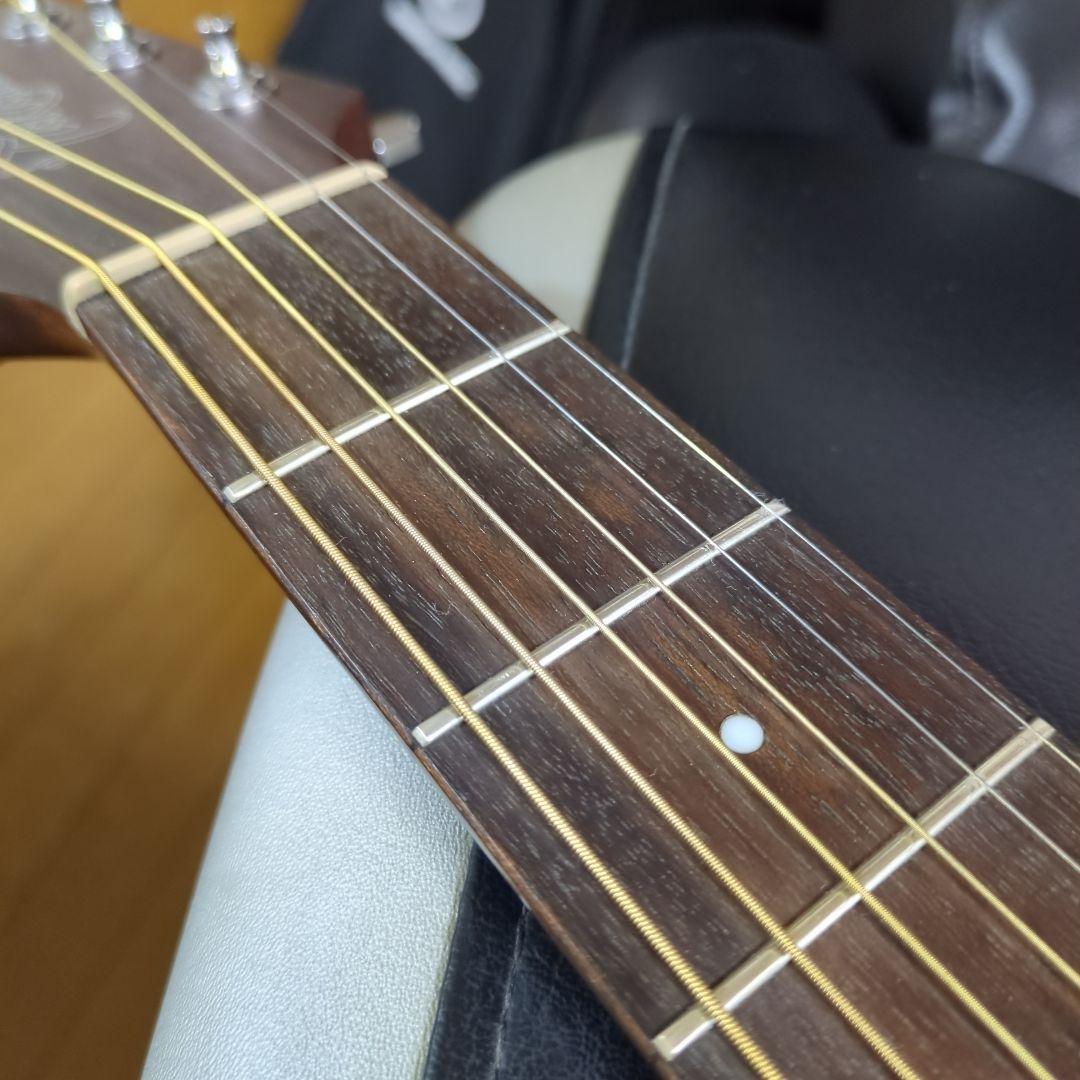 タカミネ海外輸出モデルGD-20CE-ns、