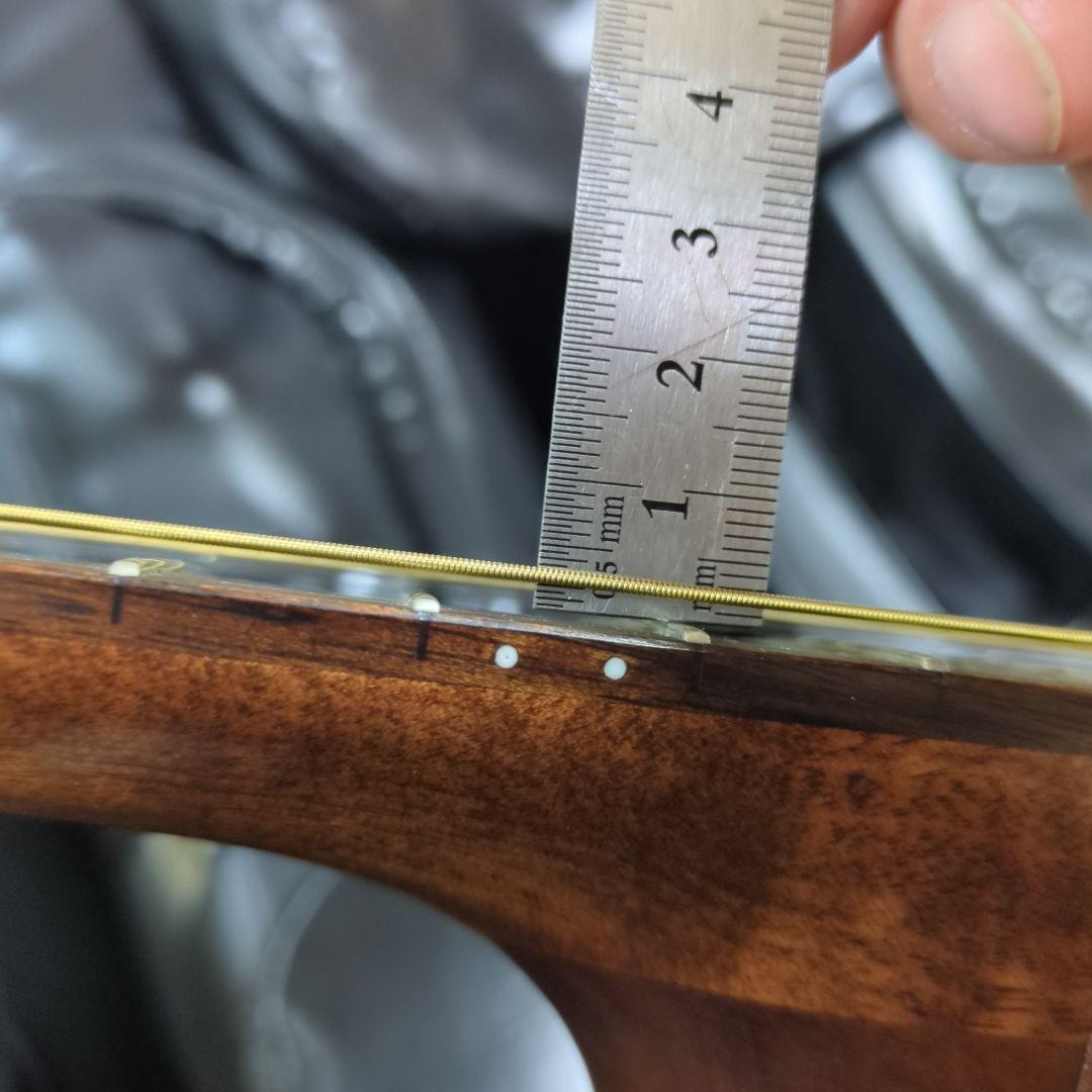 タカミネ海外輸出モデルGD-20CE-ns、