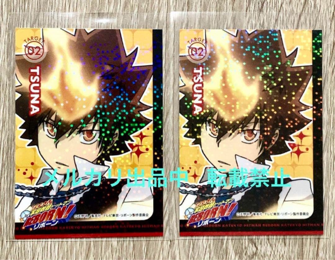 希少 プレミアムカラー 沢田綱吉 リアルペイントシート カード リボーン