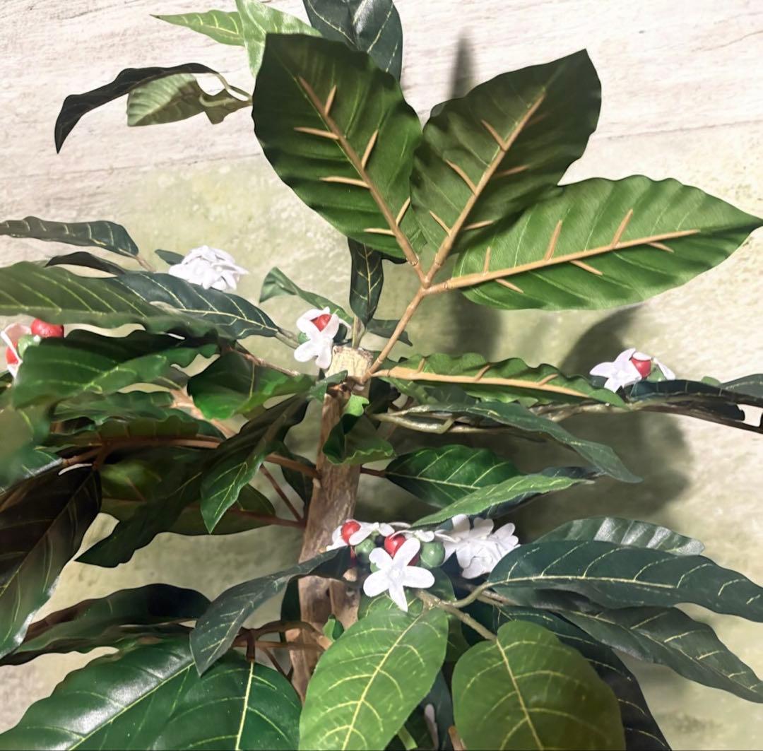 光触媒　人工観葉植物　ウォールグリーン　フェイクグリーン　コーヒーの木12162