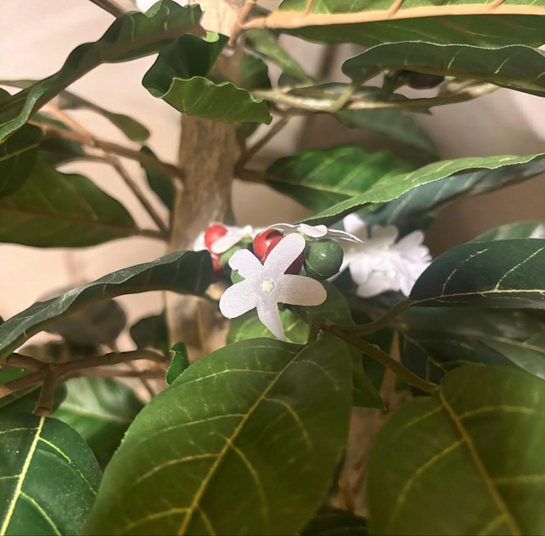 光触媒　人工観葉植物　ウォールグリーン　フェイクグリーン　コーヒーの木12162