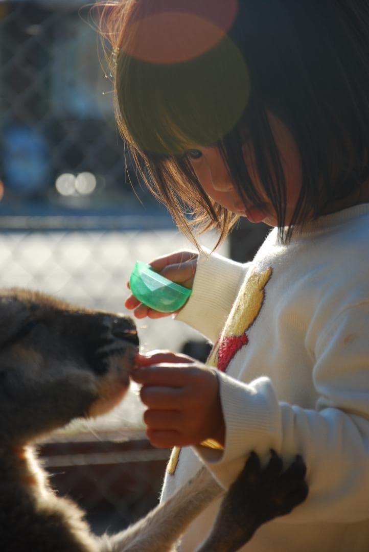 手振れ補正つき中望遠レンズ☆Nikon AF-S 18-105mm☆