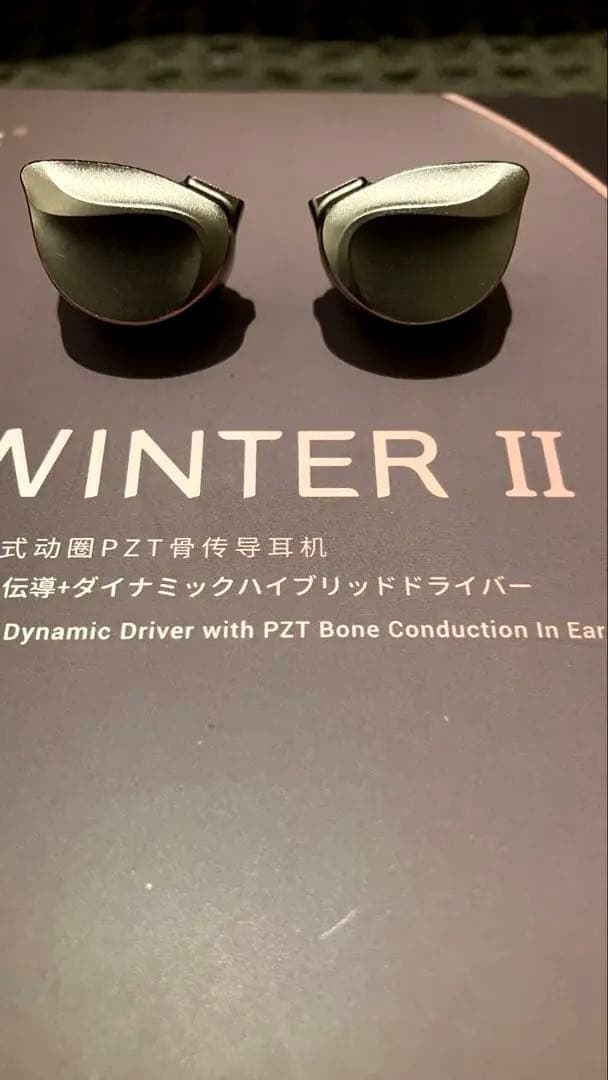 イヤホン BQEYZ WINTER II