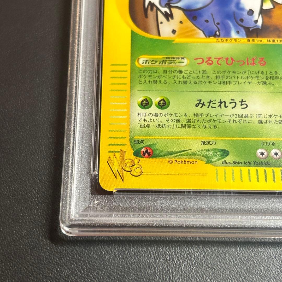 世界に56枚！PSA10 わるいフシギソウ web 017/048