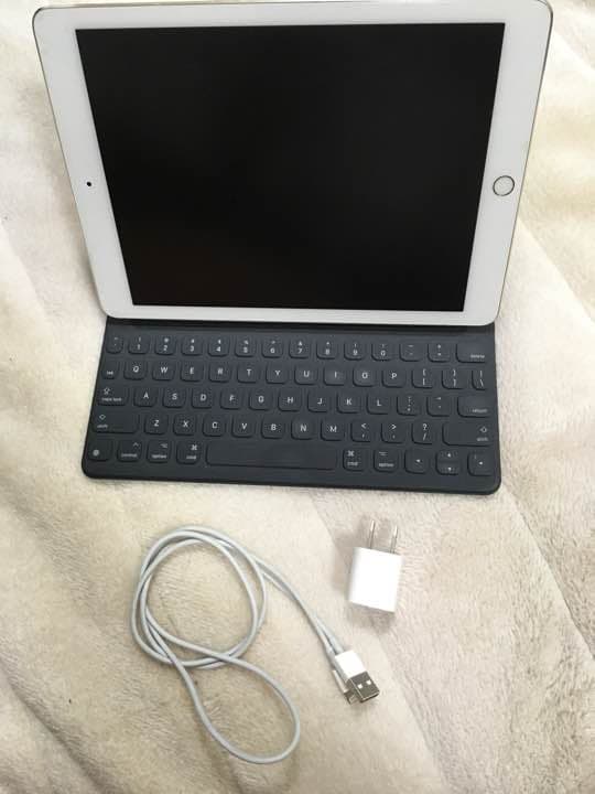 iPad pro 9.7  256GB セルラーモデル ゴールド