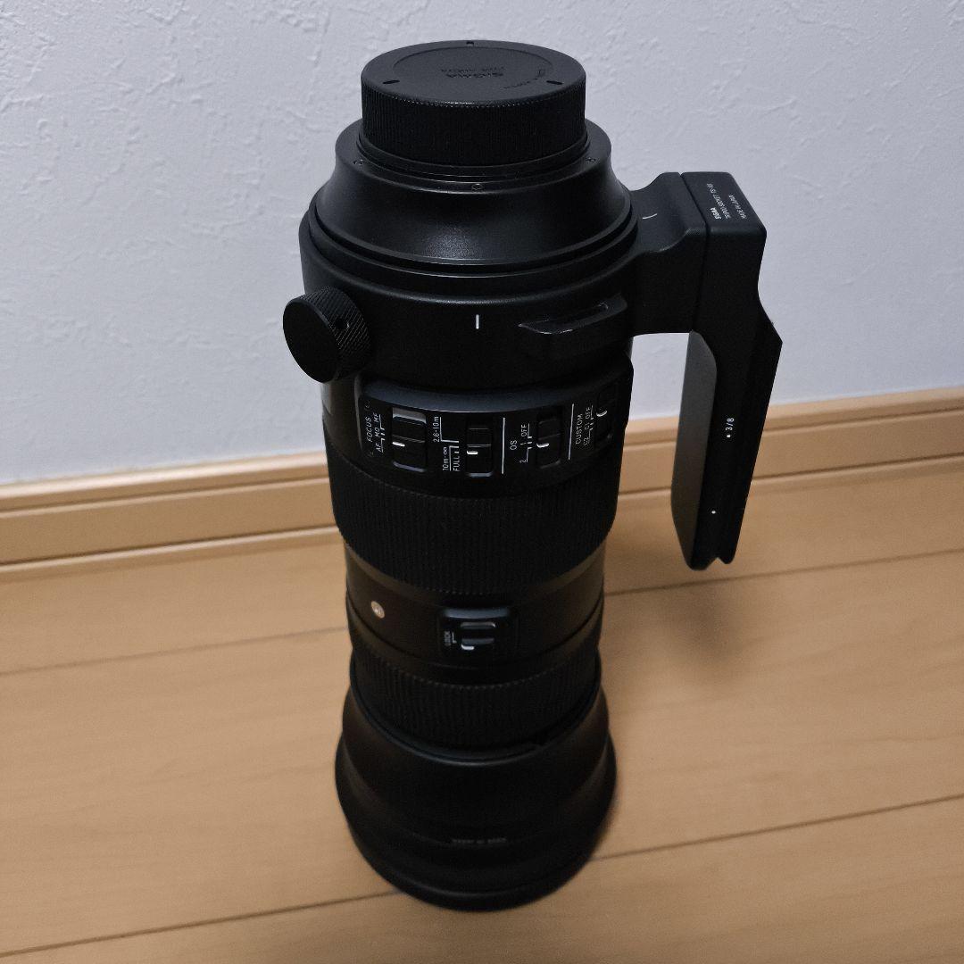 レンズ(ズーム) SIGMA 150-600mm F5-6.3 DG OS HSM Sports