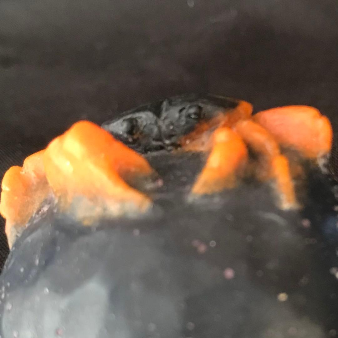 「岩に凝っとする沢蟹」　置物　ペーパーウェイト　パートドヴェール