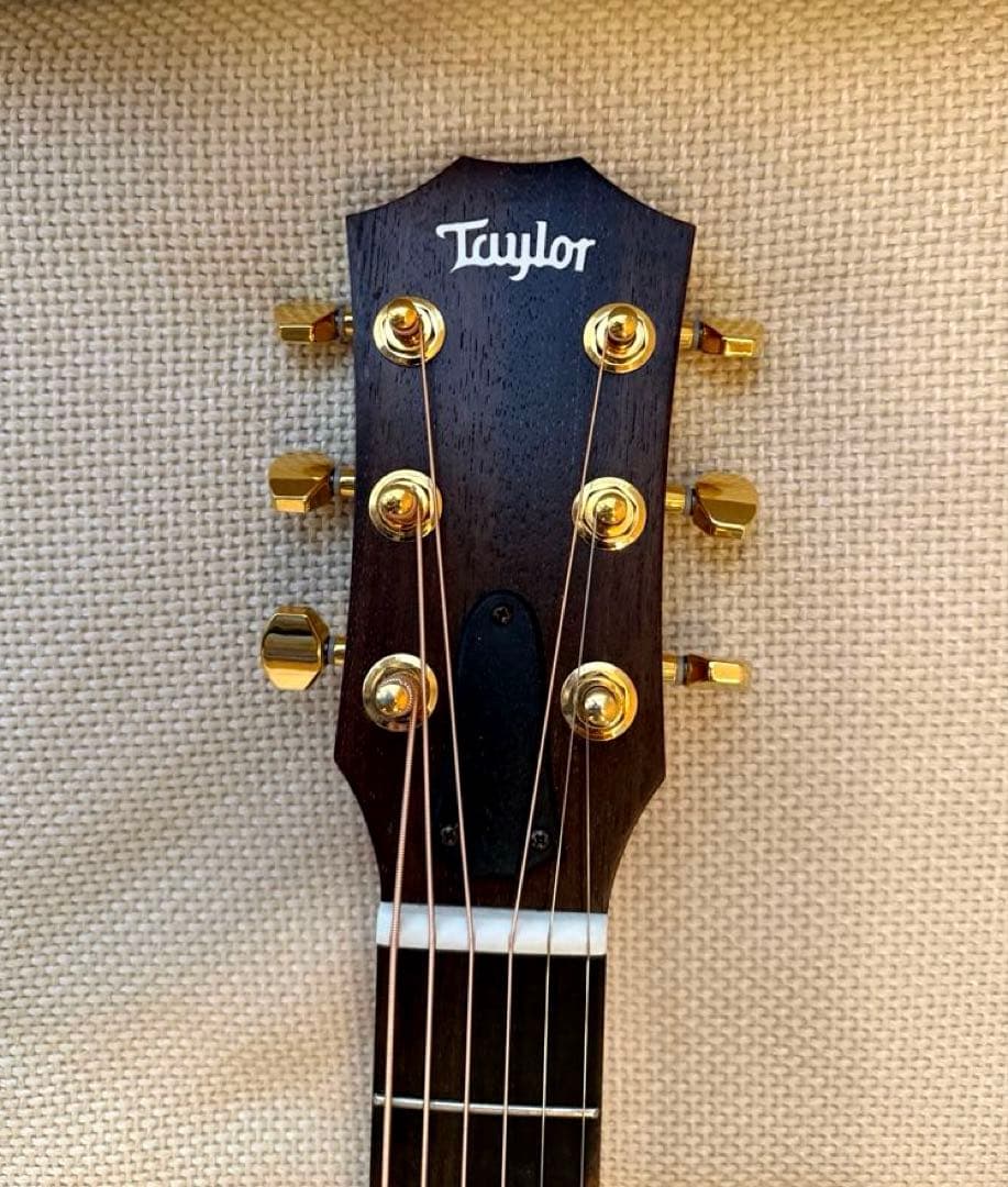 テイラー50周年GS Mini-e Rosewood SB LTD ES2搭載