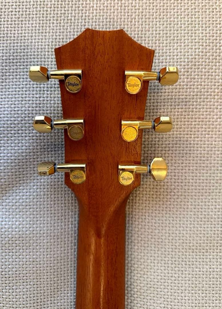 テイラー50周年GS Mini-e Rosewood SB LTD ES2搭載