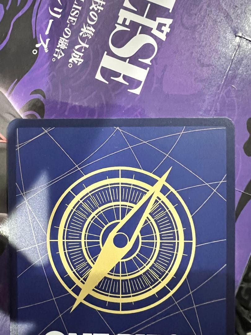 ONE PIECEカードゲーム エース 手配書 SP OP13-119 SEC