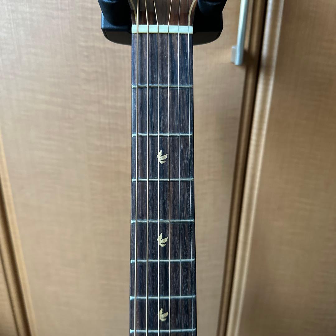 ギター Gopher Wood guitars i320rce