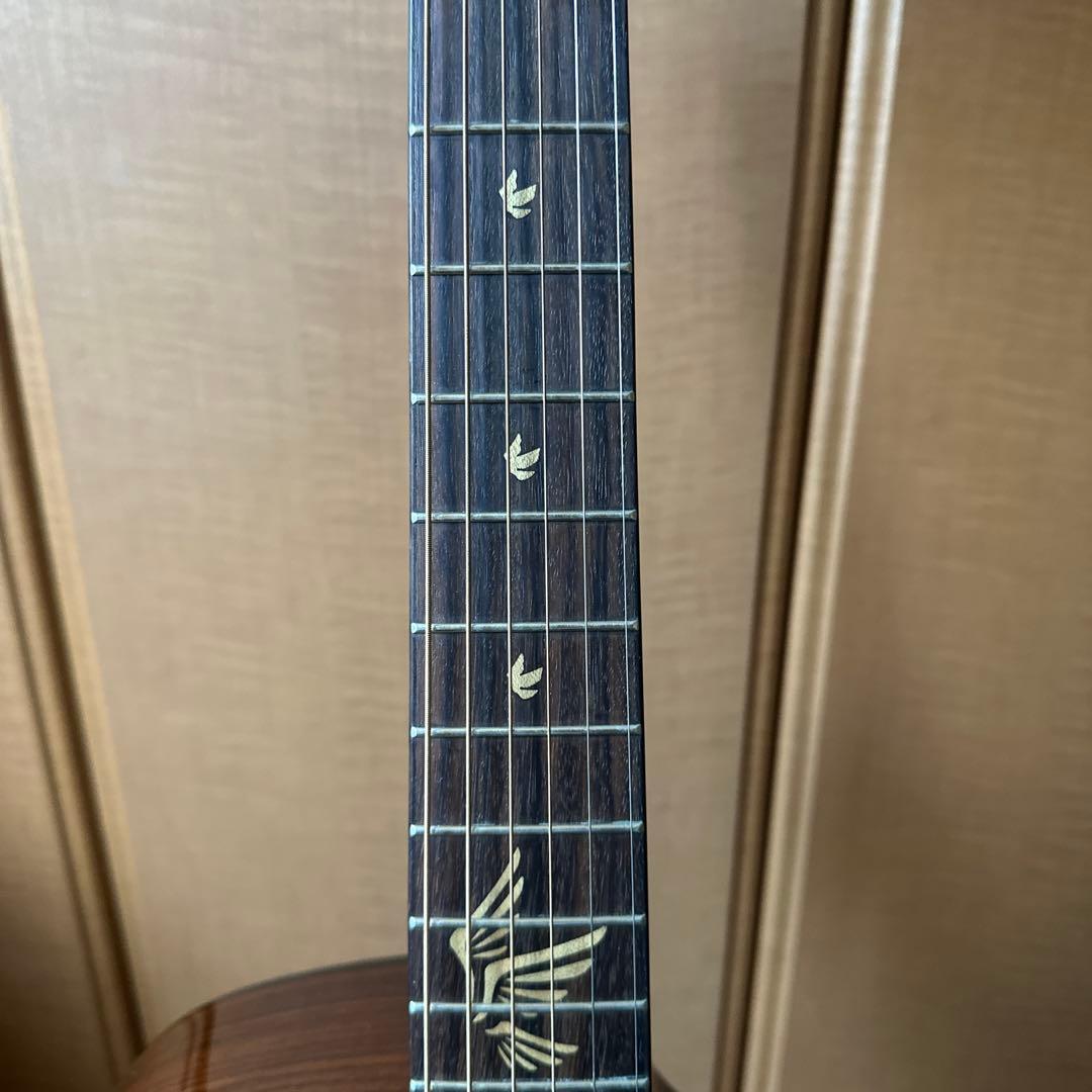 ギター Gopher Wood guitars i320rce