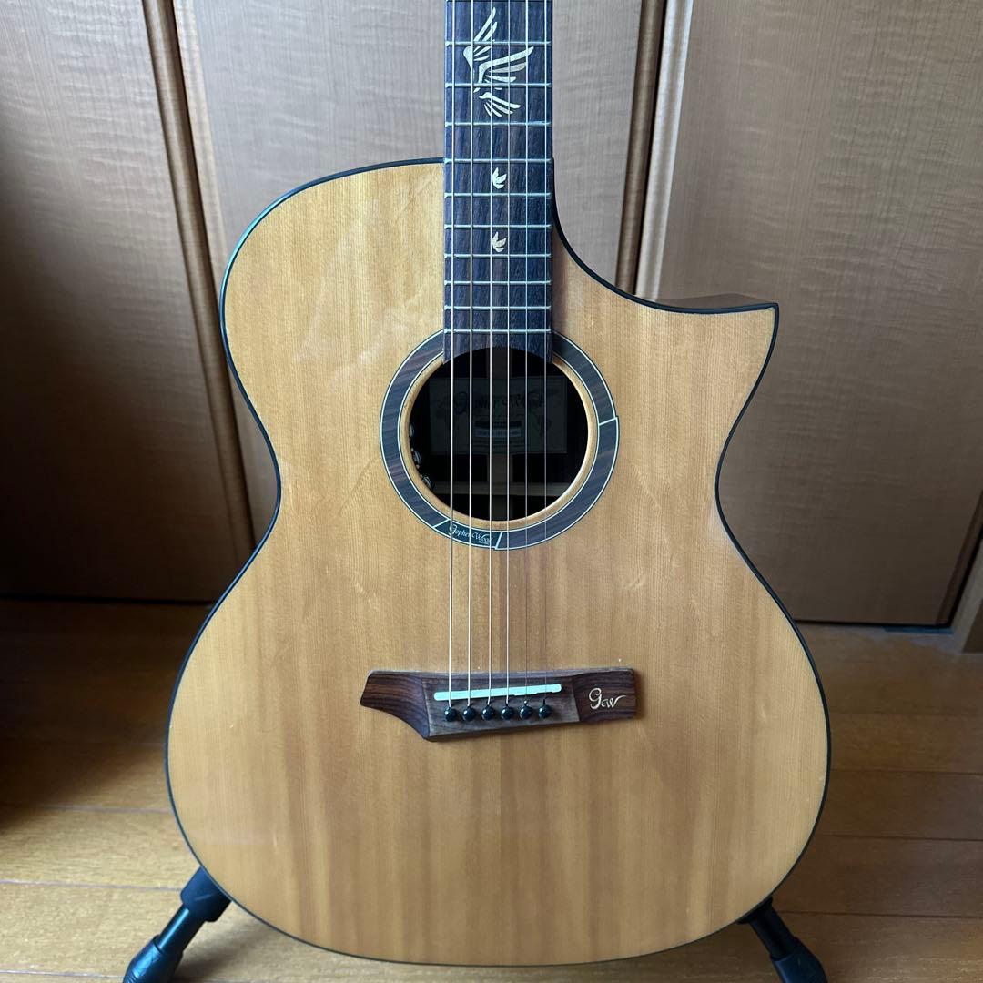 ギター Gopher Wood guitars i320rce