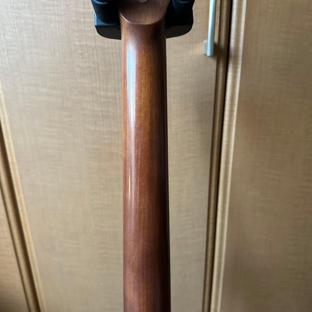 ギター Gopher Wood guitars i320rce