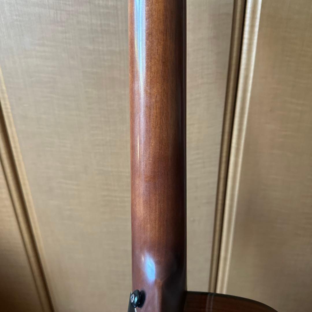 ギター Gopher Wood guitars i320rce