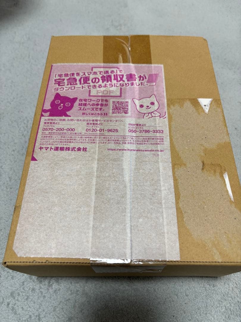 スカーレット&バイオレット 「シャイニートレジャーex」 ボックス