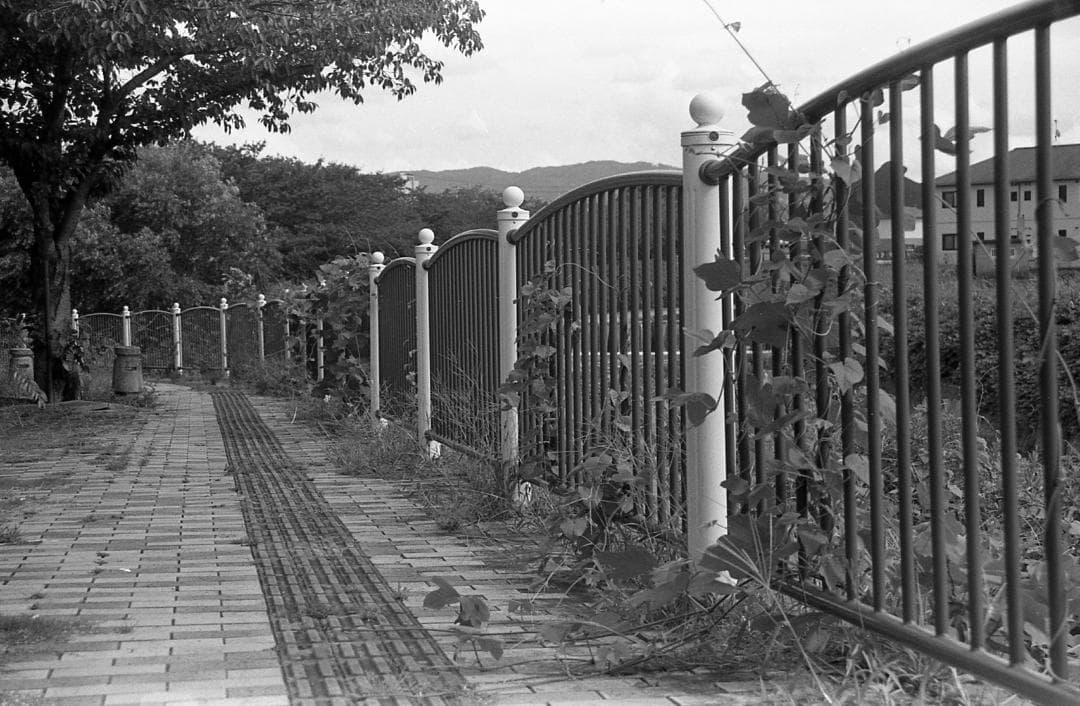 【整備済完動品】CANON AE-1 PROGRAM ズームレンズ35-70mm