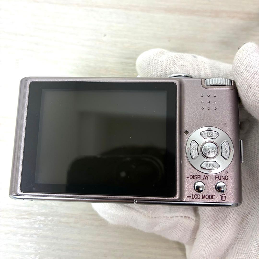 Panasonic LUMIX DMC-FX30 ブラウン ルミックス