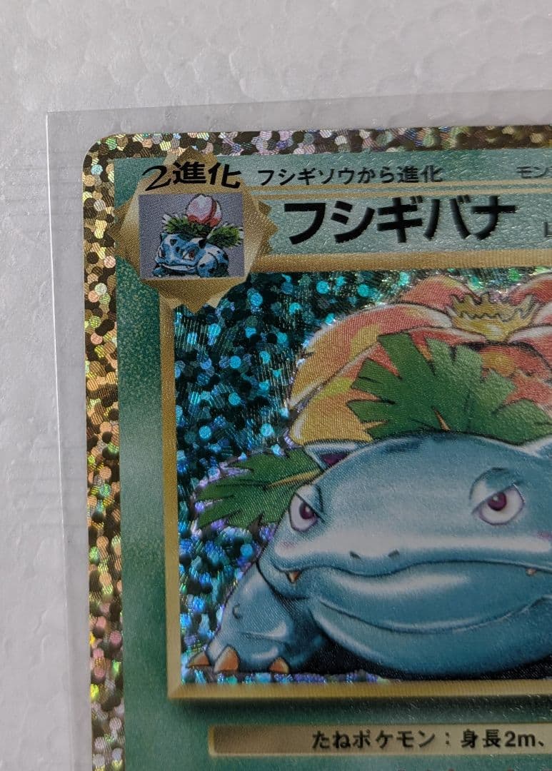 25周年　フシギバナ HP100 & わるいギャラドス HP70