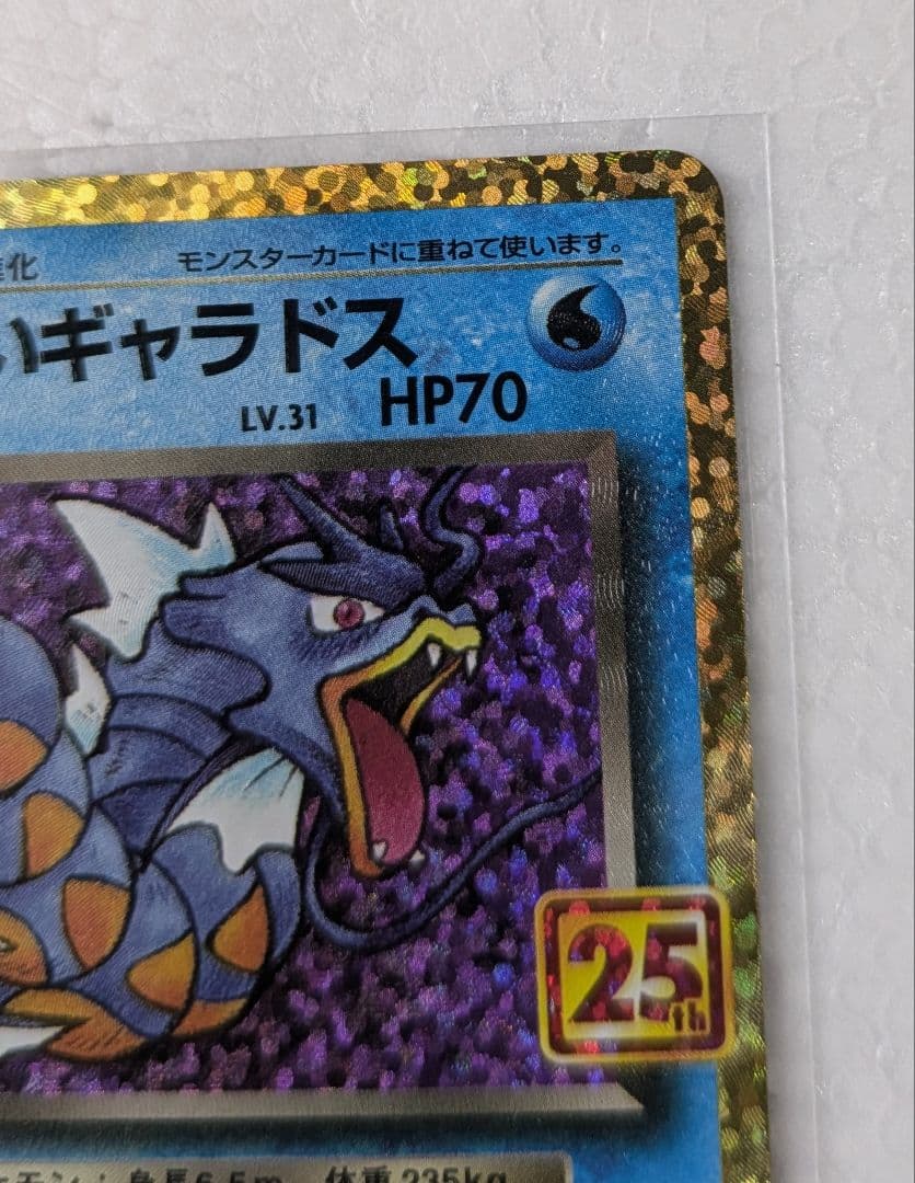 25周年　フシギバナ HP100 & わるいギャラドス HP70