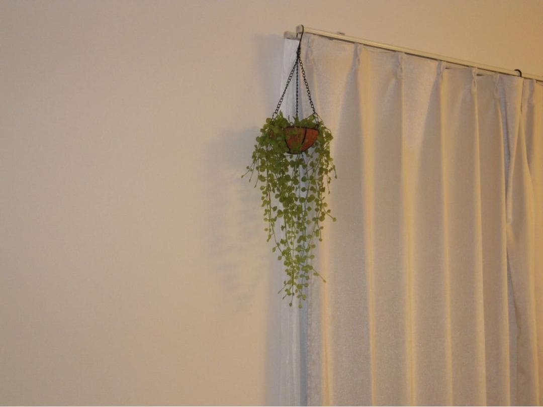 【動作品】ニコン Nikon COOLPIX S610 ブラック　デジタルカメラ