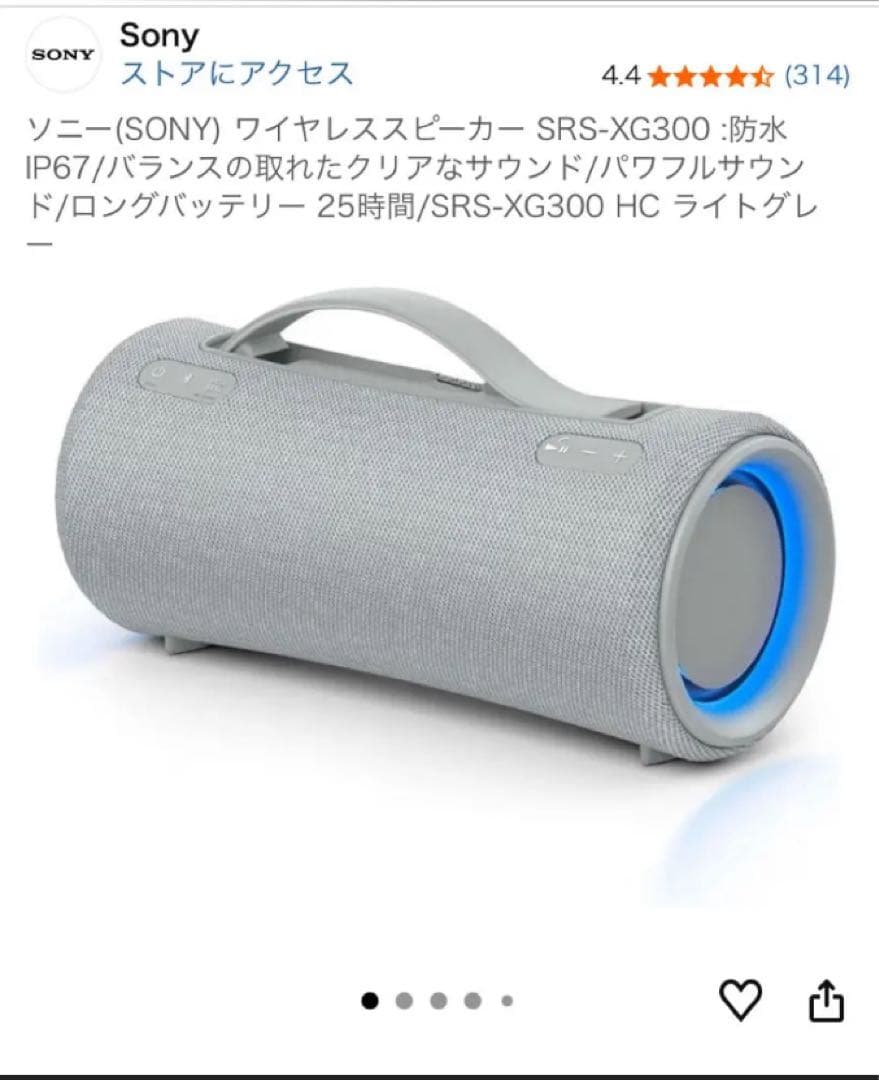 【！特別価格！】さらに【！専用ケース付き！】 ★SRS-XG300 グレー