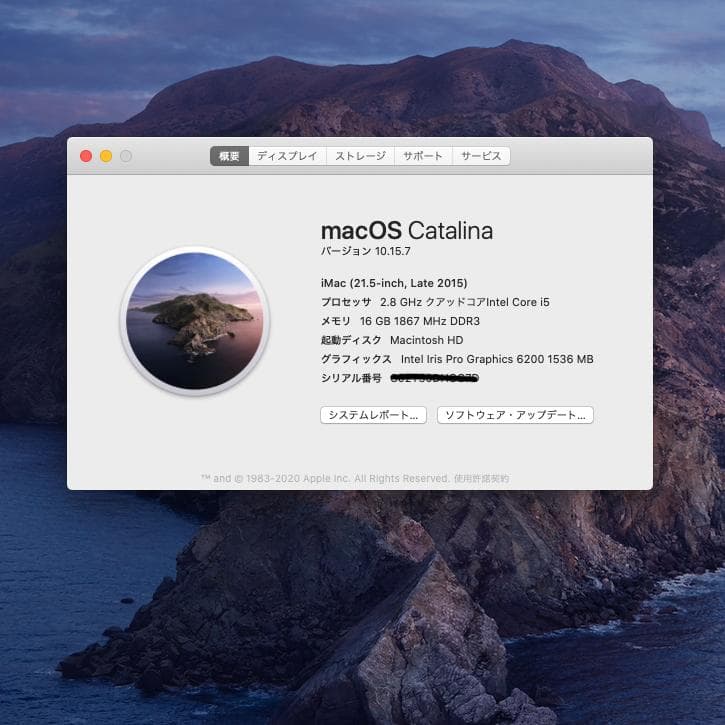Macデスクトップ iMac 21.5-inch, Late 2015, 16GB, 1TB HHD
