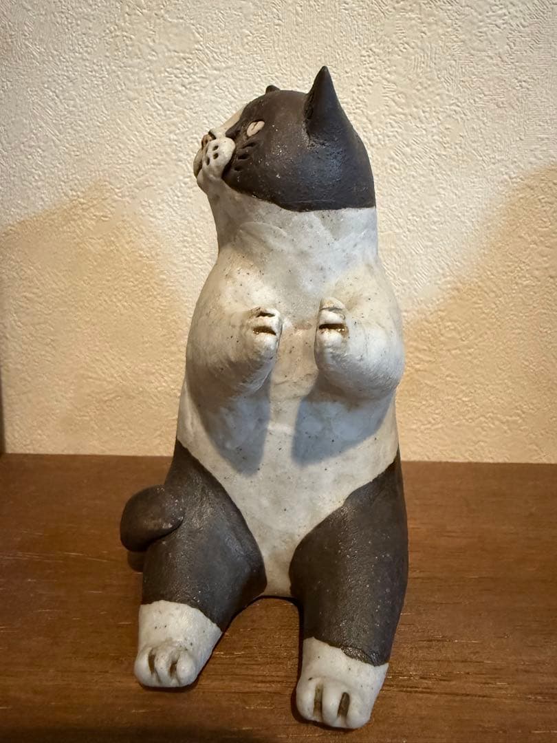 かとうゆみさん　ハチワレ猫