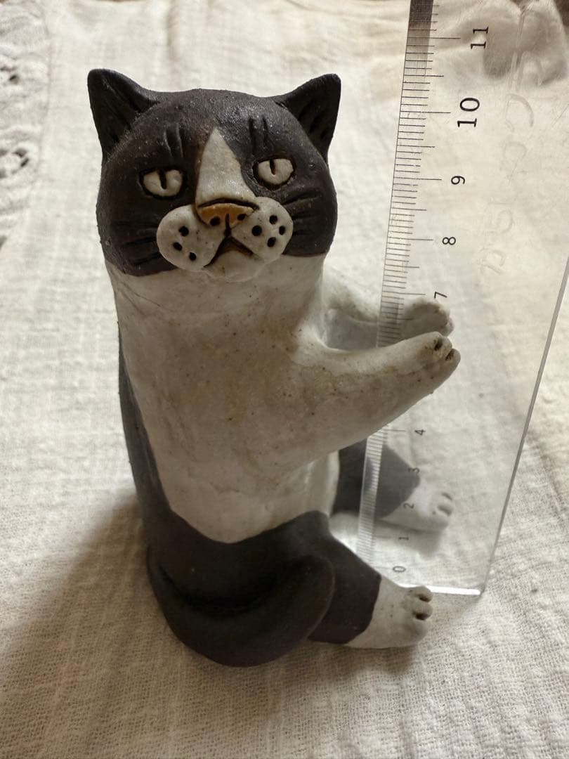 かとうゆみさん　ハチワレ猫