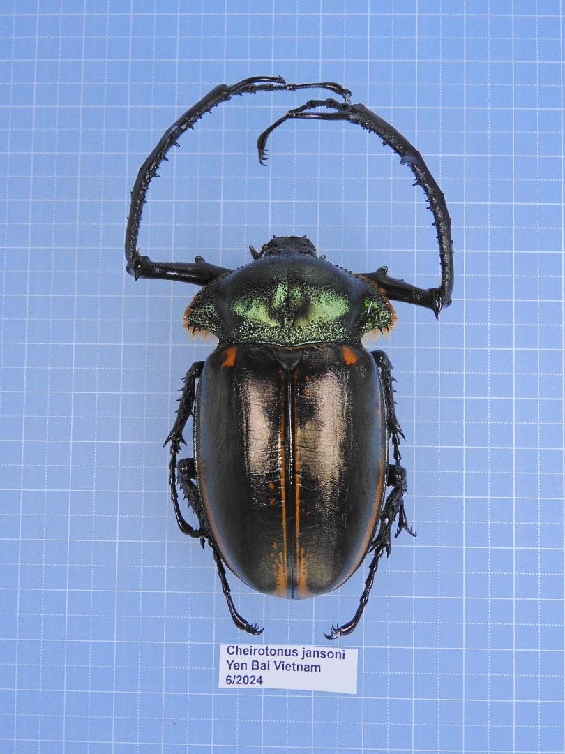 ニボシ様 リクエスト 6点 まとめ商品