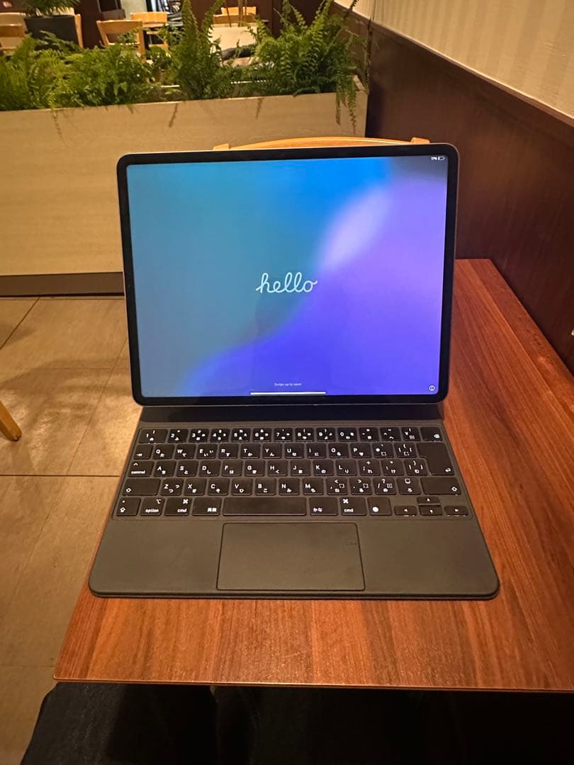 iPad Pro 12.9インチ　第五世代　256GB