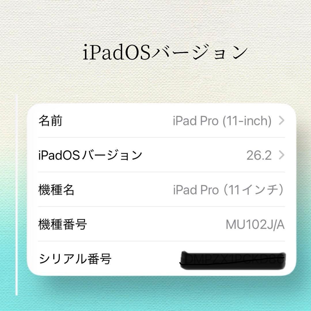 iPad Pro (11) Wi-Fi + Cellular SIMフリー
