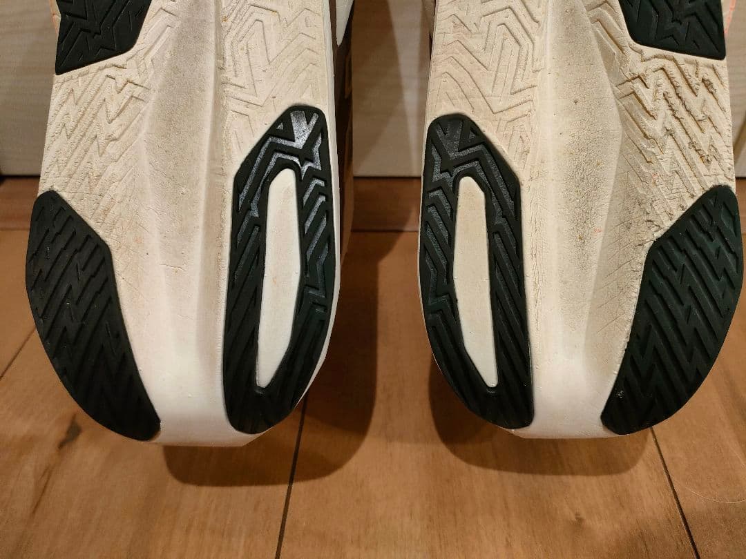 【値下げ中】フューエルセル レベル v5