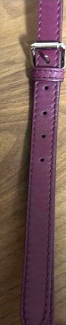 新品　GUCCI グッチ　GG柄　ショルダーバッグ