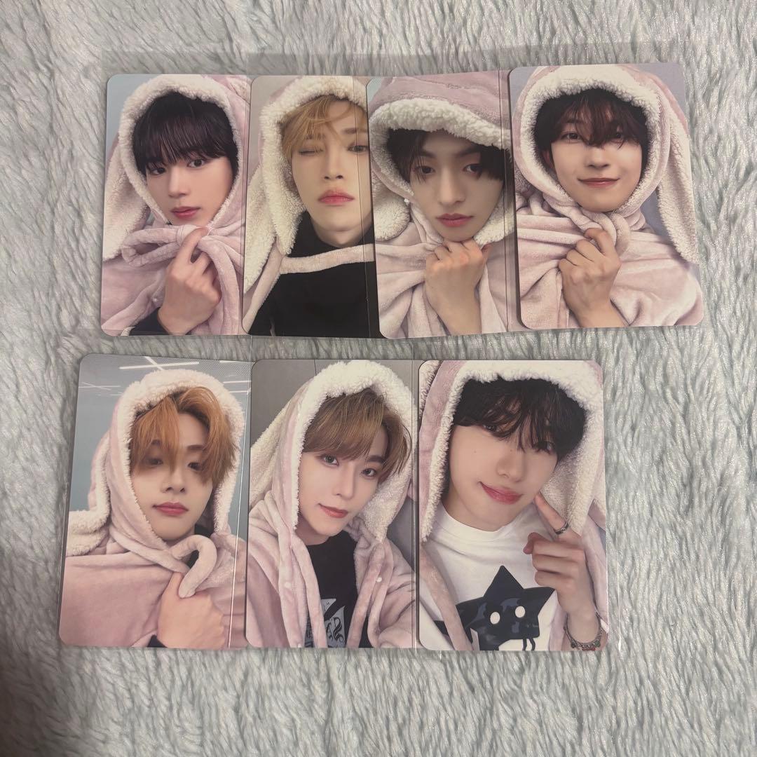 ALD1 うさぎ毛布 トレカ